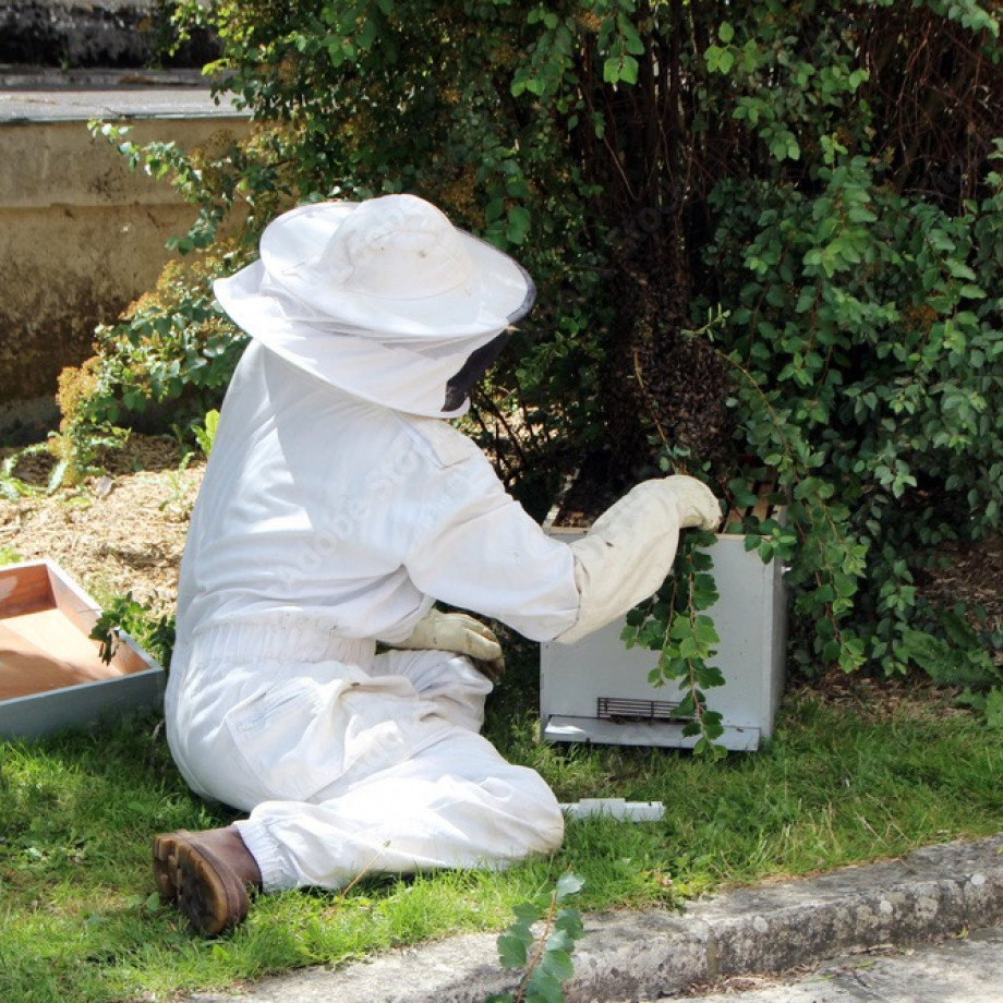 Intervention sur nids d’abeilles