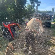 Abattage d’un saule pleureur pour un particulier a Arnas